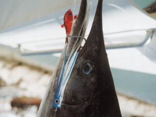Pesca deportiva